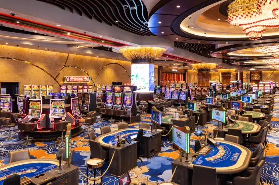 Which Live Casinos Are on the 